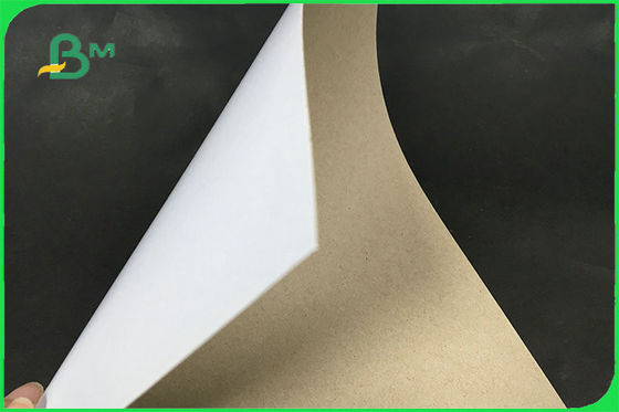 荷箱FSCのための1つの側面の上塗を施してある白い灰色の背部二重板リサイクルされる