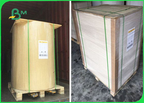 FSCは証明しましたシートの裏面のクラフト紙を1つの側面の白32の× 40"