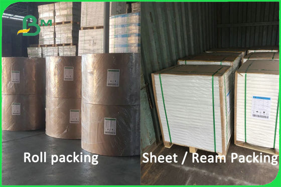 100%のバージンのパルプの生物分解性の光沢が無い紙コップ材料170 - 300gsm FDA FSC