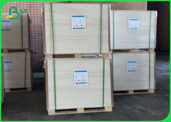 完全に再生可能なPEコーティング カップストック紙 コーティング ポリエチレン 210g+10g