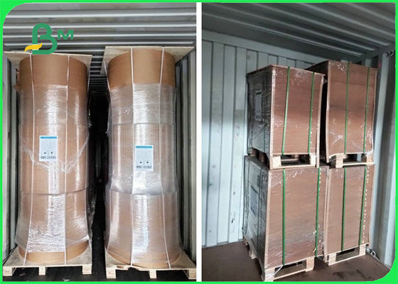 100%ファースト・フードのパッケージのための安全な300gsm +15gのPEの塗被紙シート