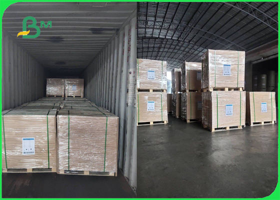 滑らかなパンフレットのためのFSCによって70g 80gの白のWoodfree承認されるペーパー ロール