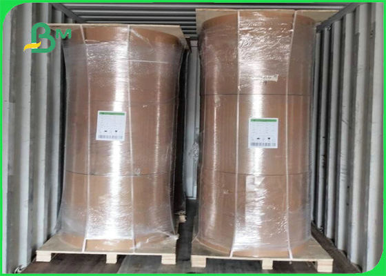 生物分解性食品包装のための300gsm + 15g PEのフィルムのクラフト板