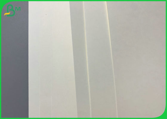 熱い飲み物の紙コップのための印刷できる効果300gsmの光沢が無いコップのペーパー