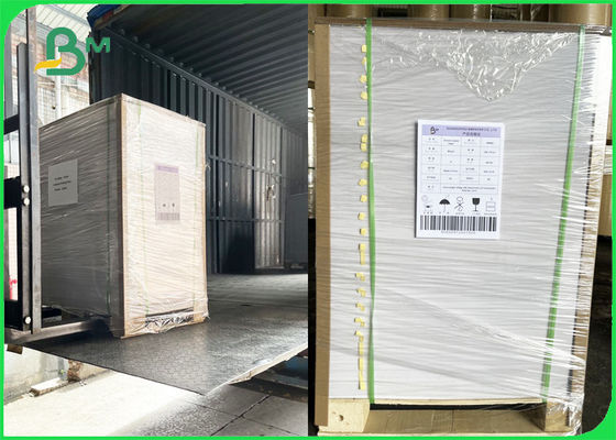 100%のcompostable単一の側面の白い上塗を施してある食糧板紙表紙325gsm