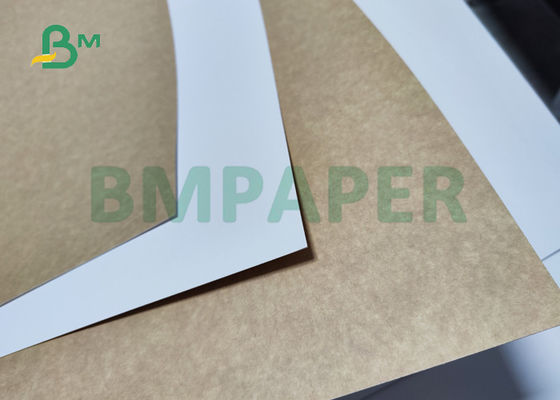 食糧箱22inchのための14PT 16PT CCKBクラフトの背部板27.5インチのよい剛さ