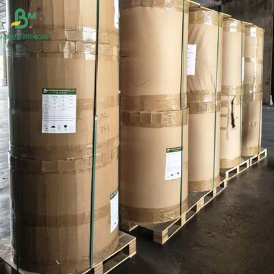 40g 45g 50g 漂白キット 5 キット 7 グリースプルーフペーパー クラフトリール 60cm 70cm