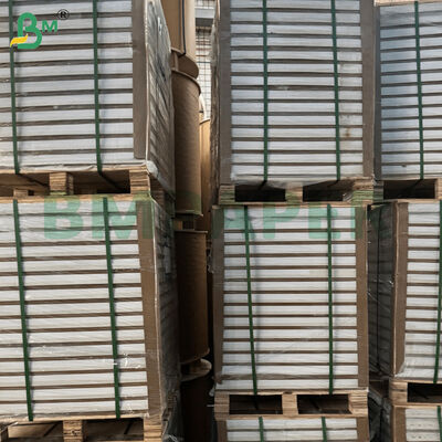 雑誌用 C2S 両面光沢紙 787mm*1092mm